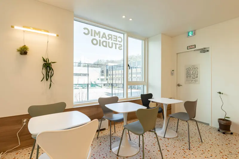 APRICOT PLATE 이미지 6